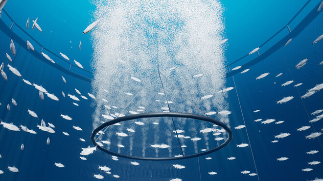 Système d’aération Sea Pen pour la protection des poissons