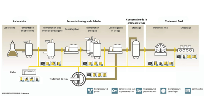 Application production de levure