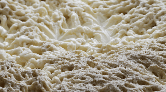 Fermentation de levure