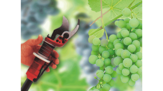 Compresseurs industriels à pistons KAESER dans le secteur viticole.